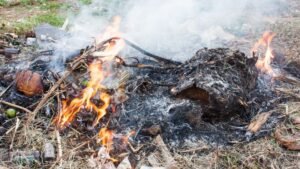 Polícia Federal incinera 440 kg de drogas apreendidas em operações anteriores