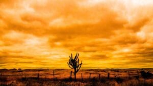 Como refrescar a casa no calor: 3 dicas para enfrentar a onda de quentura