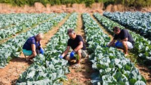 1ª Feira Potiguar da Agricultura Familiar e Economia Solidária promove economia e cultura do campo