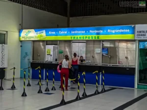 Empresas de ônibus intermunicipais vão garantir veículos e horários extras para viagens de fim de ano