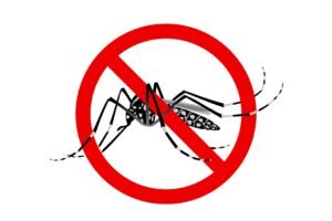 Campanha do combate a dengue movimenta secretarias de saúde