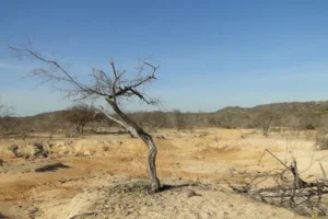 Rio Grande do Norte tem 148 cidades no semiárido, de acordo com a Sudene