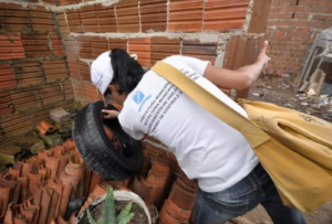 Dengue tem aumento nos casos no RN – Natal, Jandaíra e Ceará-mirim com alta incidência