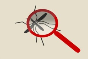 Secretaria de Saúde de Riachuelo realiza encontro para discutir Plano de Combate às Arboviroses