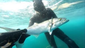 Homem morre afogado durante pesca com arpão em Areia Branca