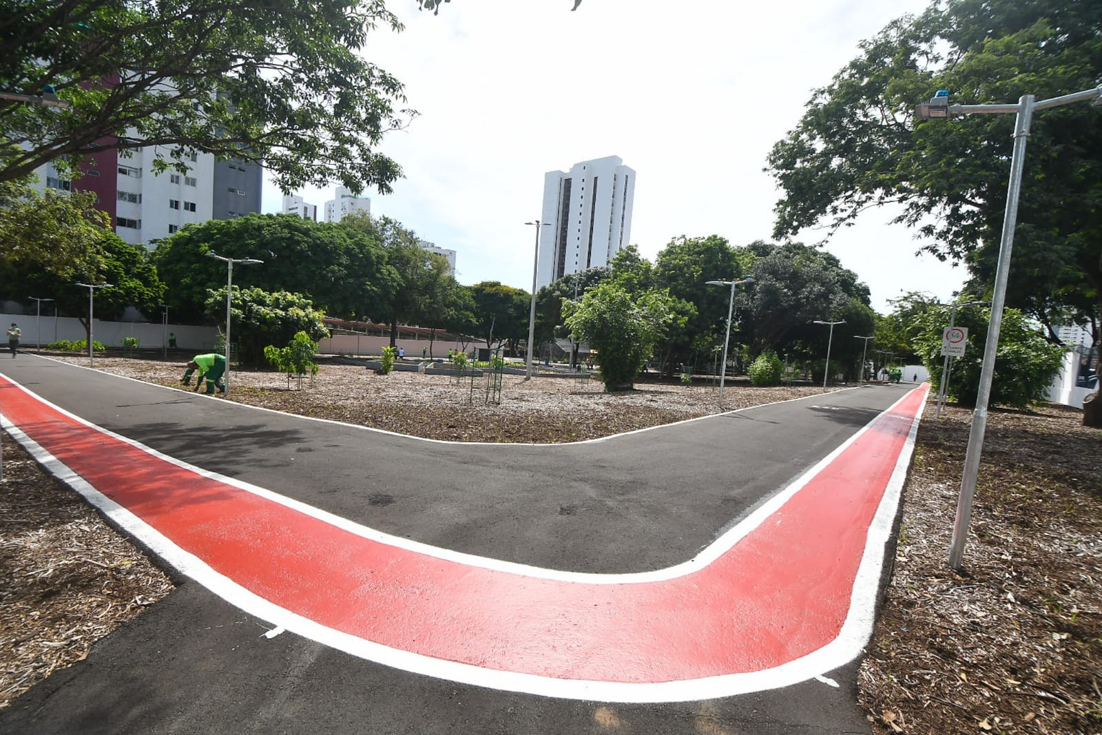 Bosque das Mangueiras terá ações gratuitas de lazer nesta terça-feira (7)