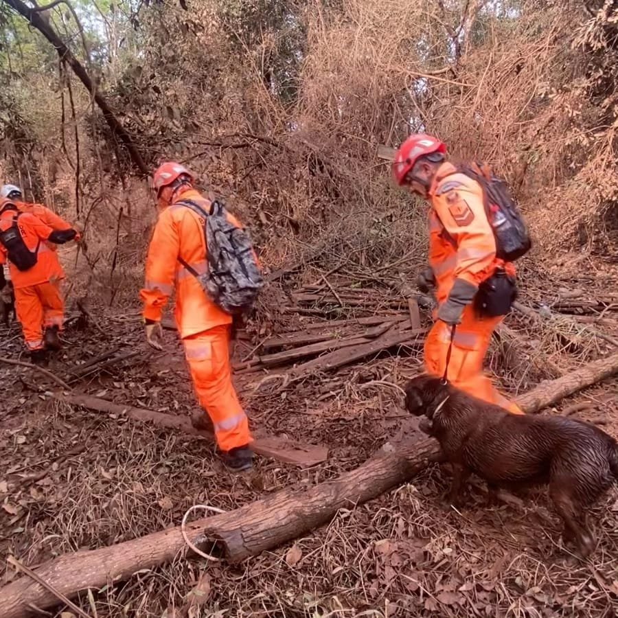 Bombeiros do RN buscam por desaparecidos no Rio Grande do Sul