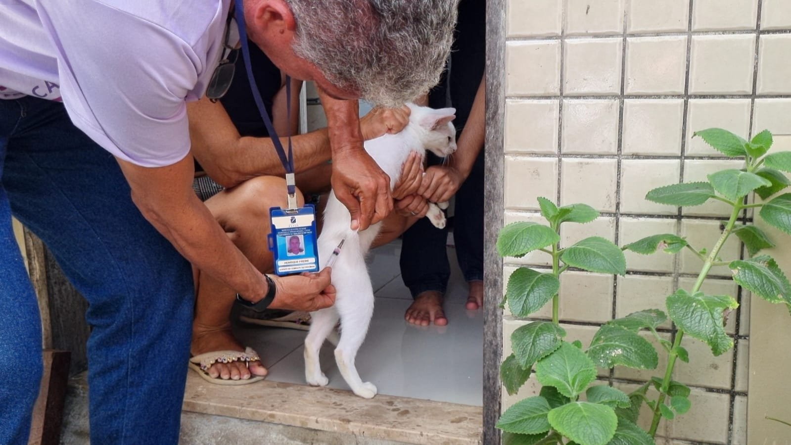 Prefeitura de Natal publica edital para seleção de OSC para gestão de Hospital Veterinário Público