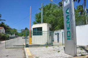 Idema oferece 30 bolsas para pesquisa e extensão com valores até R$ 4.250