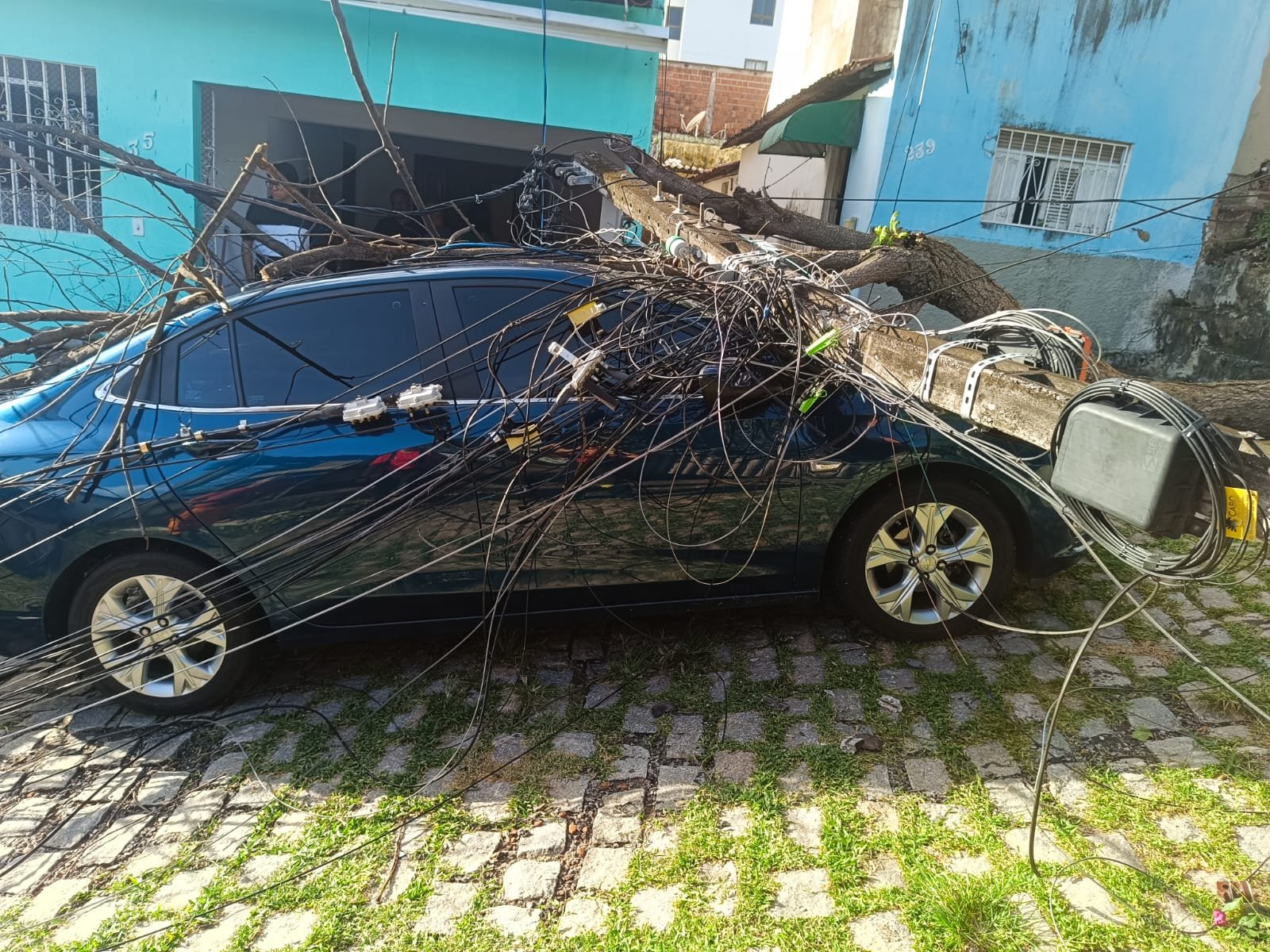 Bombeiros do RN removem árvore que caiu em cima de veículo em Natal