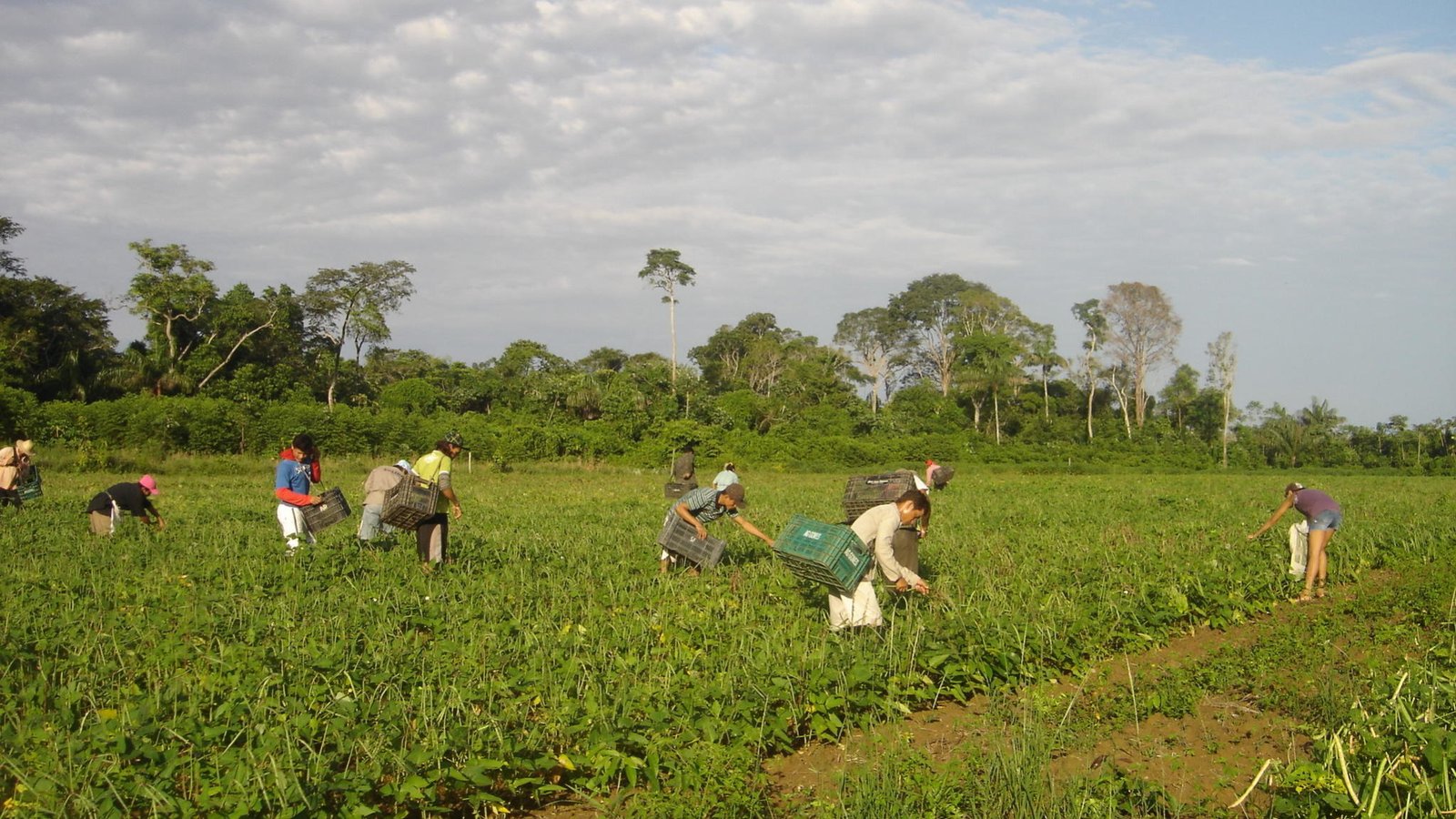 Agricultura familiar receberá R$ 76 Bi para impulsionar produção de alimentos