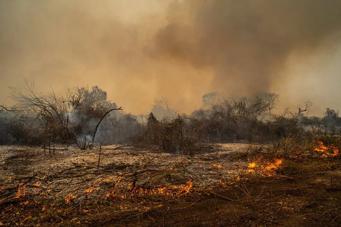 Pantanal registra maior área queimada em junho deste ano