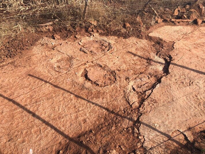 Descoberta de pegadas de dinossauro por cientista da UFRN