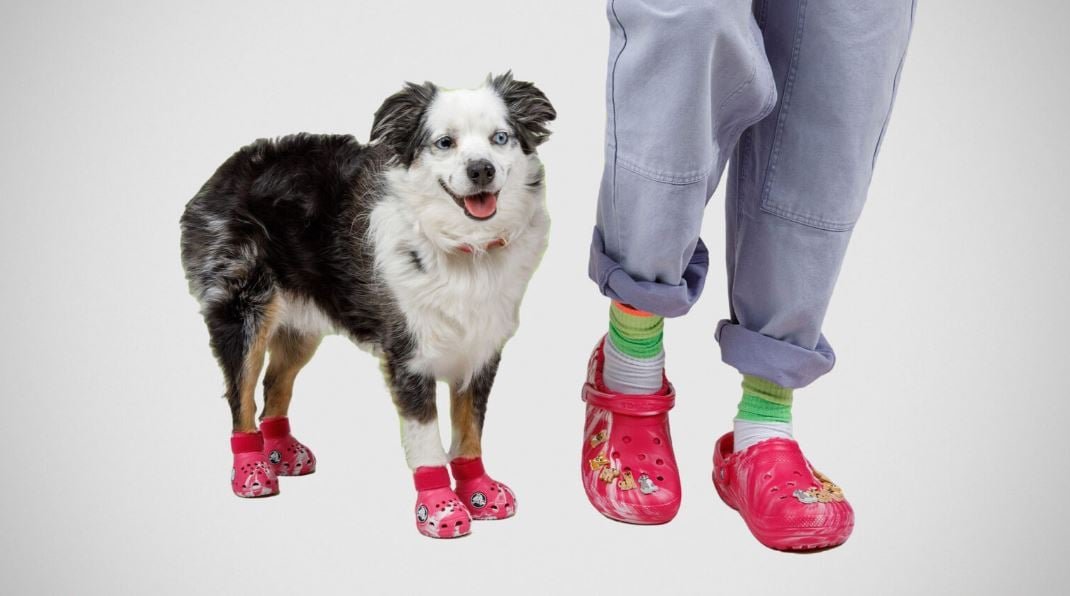 Crocs aposta no mercado pet com nova linha de sandálias para cachorros e seus tutores