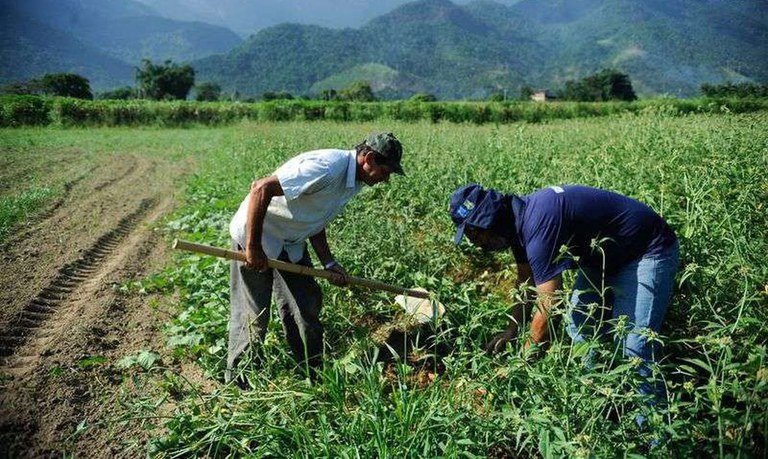 Garantia-Safra 2024/2025 tem adesão de quase 600 famílias em Mossoró