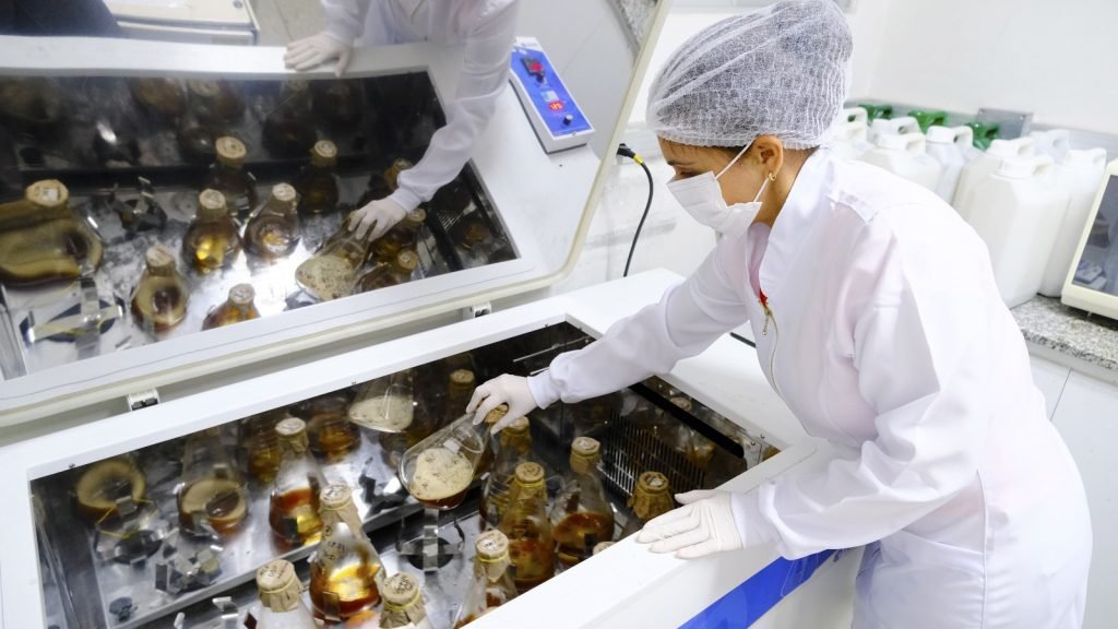 Supercomputador da UFRN apoia uso de bactérias contra poluição por óleo