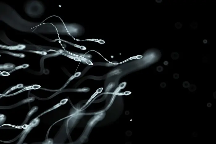 Anticoncepcional masculino começa a ser testado em humanos