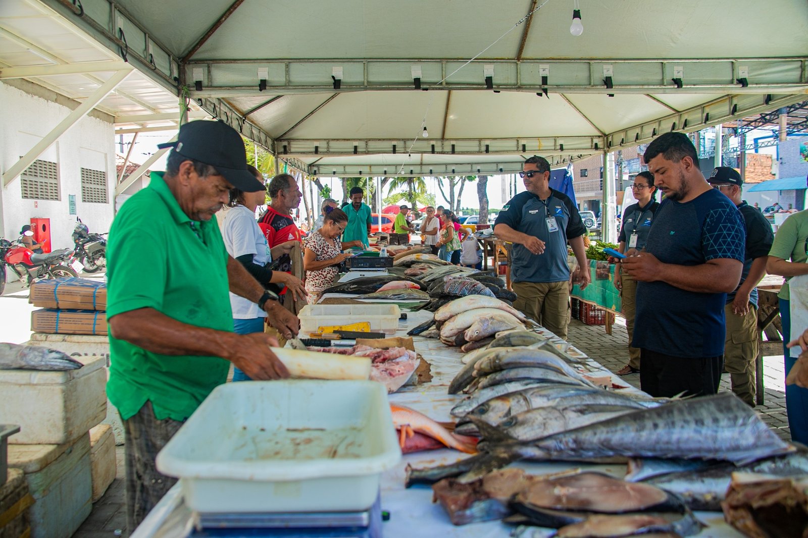 Após casos de intoxicação por toxina, Vigilância Sanitária reforça que consumo de peixe em Natal segue seguro