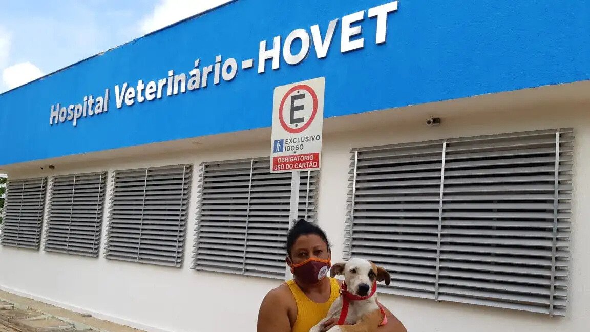 Hospital Veterinário da Ufersa amplia ensino e assistência a animais com aquisição inédita de equipamentos de anestesiologia