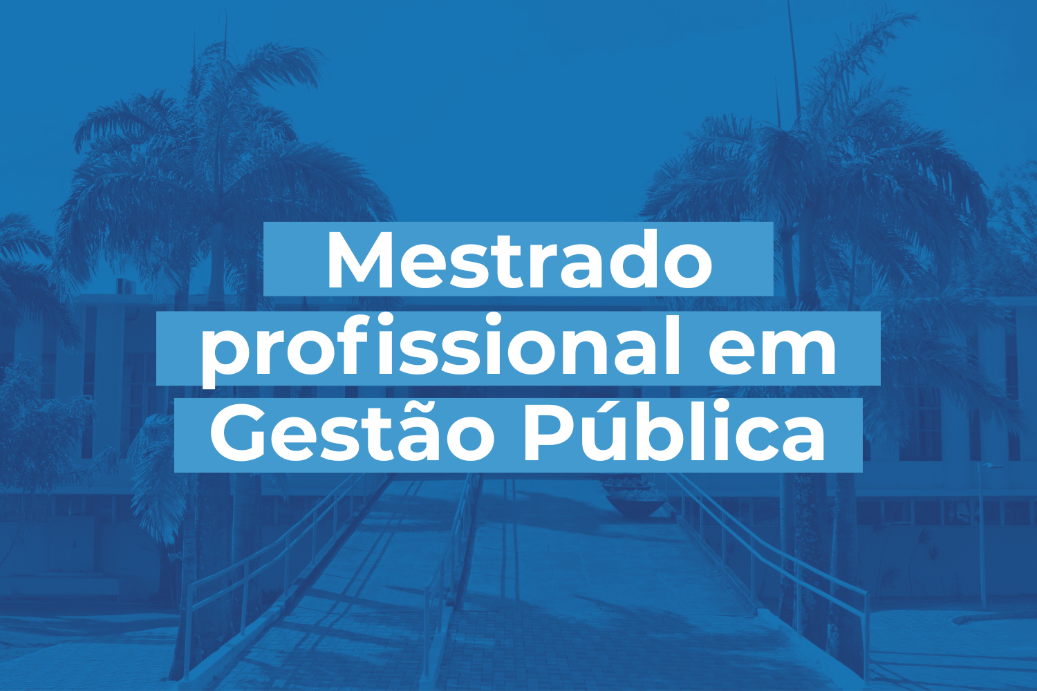 Inscrições abertas para servidores do RN concorrerem ao Mestrado Profissional em Gestão Pública 2025