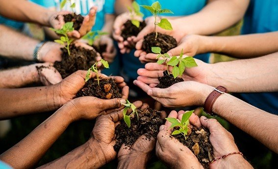 Caicó promove Semana Nacional do Meio Ambiente com ampla programação entre 02 e 05 de junho
