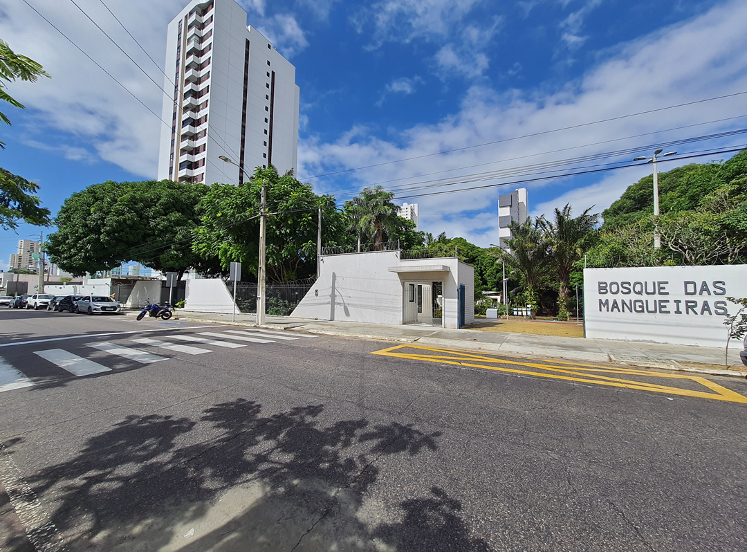 Bosque das Mangueiras recebe 1ª edição da feira de adoção Auê Pet no domingo (22)