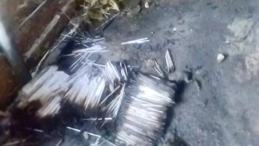 Fábrica ilegal de fogos explode em São Paulo do Potengi e deixa feridos