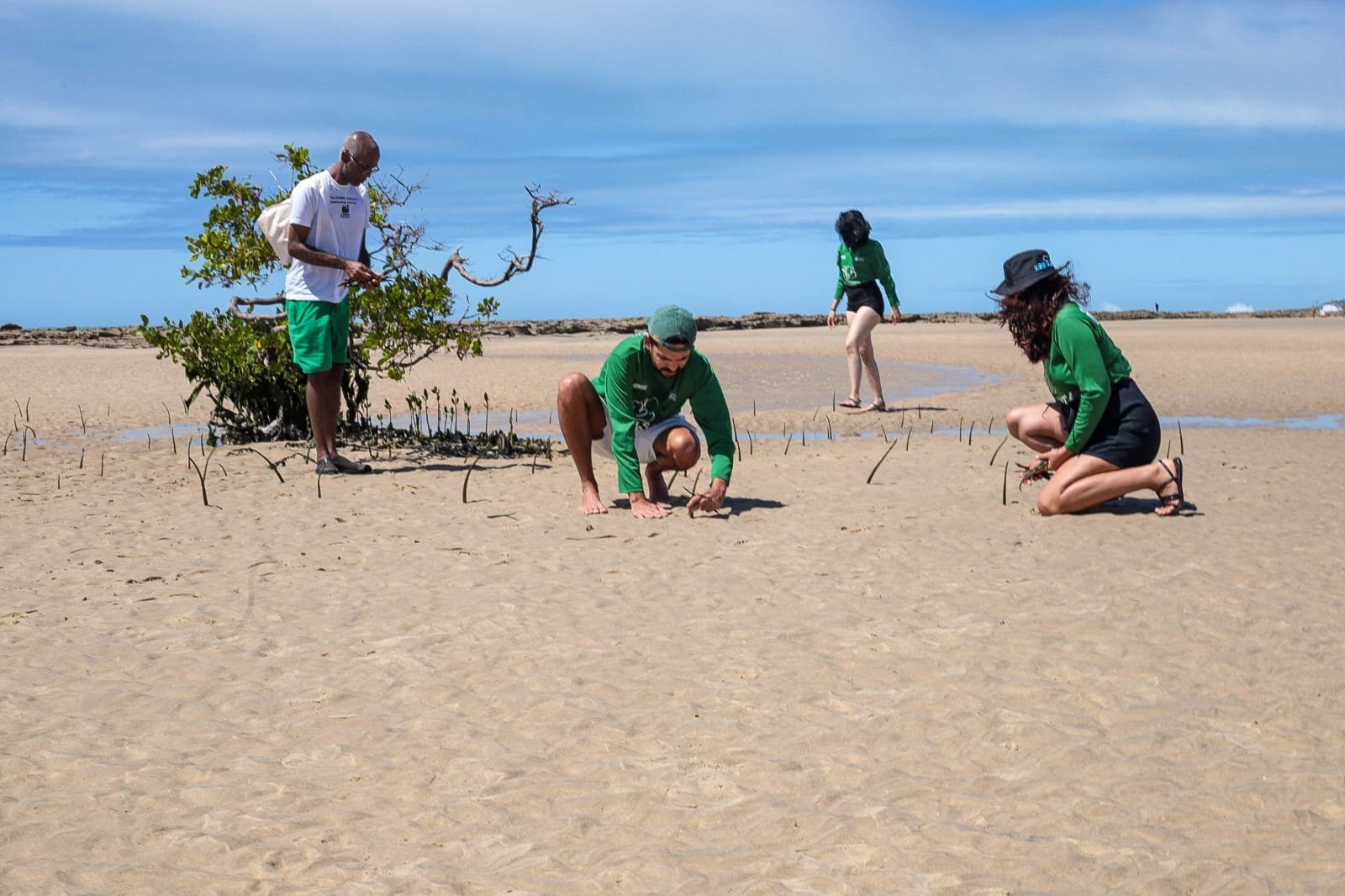 Prefeitura planta 700 mudas na Praia do Forte em alusão ao Dia de Proteção aos Manguezais