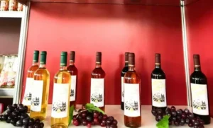 Primeiro vinho do RN com registro em ministério é lançado em Martins