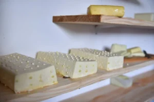 I Festival do Queijo valoriza produção artesanal e impulsiona agricultura familiar no RN