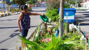 Moradores de Parnamirim têm 20% de desconto no IPTU com o Programa Adote o Verde