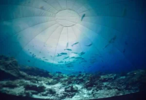 Oceanário móvel do Sesc abre para visitação gratuita no Natal Shopping