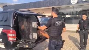 Homem é preso em Extremoz em operação contra quadrilha que roubou 239 milhões de chaves Pix