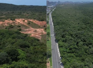 Idema propõe área alternativa para parque na margem da Roberto Freire