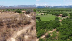 Seca atinge 94% do Rio Grande do Norte e preocupa autoridades