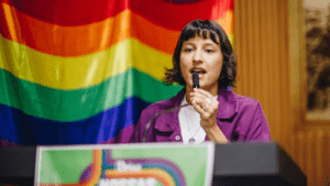 Comissão da câmara analisa defesa de Brisa Bracchi em caso de uso de emenda pública