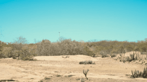 Governo Federal reconhece situação de emergência por seca em Santa Maria (RN)