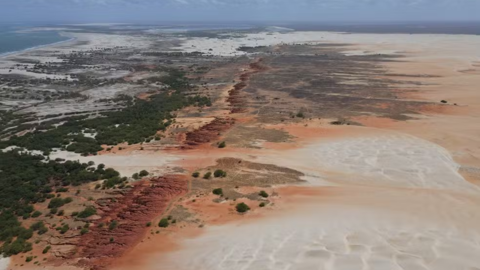 Dunas do Rosado sob ameaça: expansão das algarobas pode transformar paisagem icônica do nosso estado