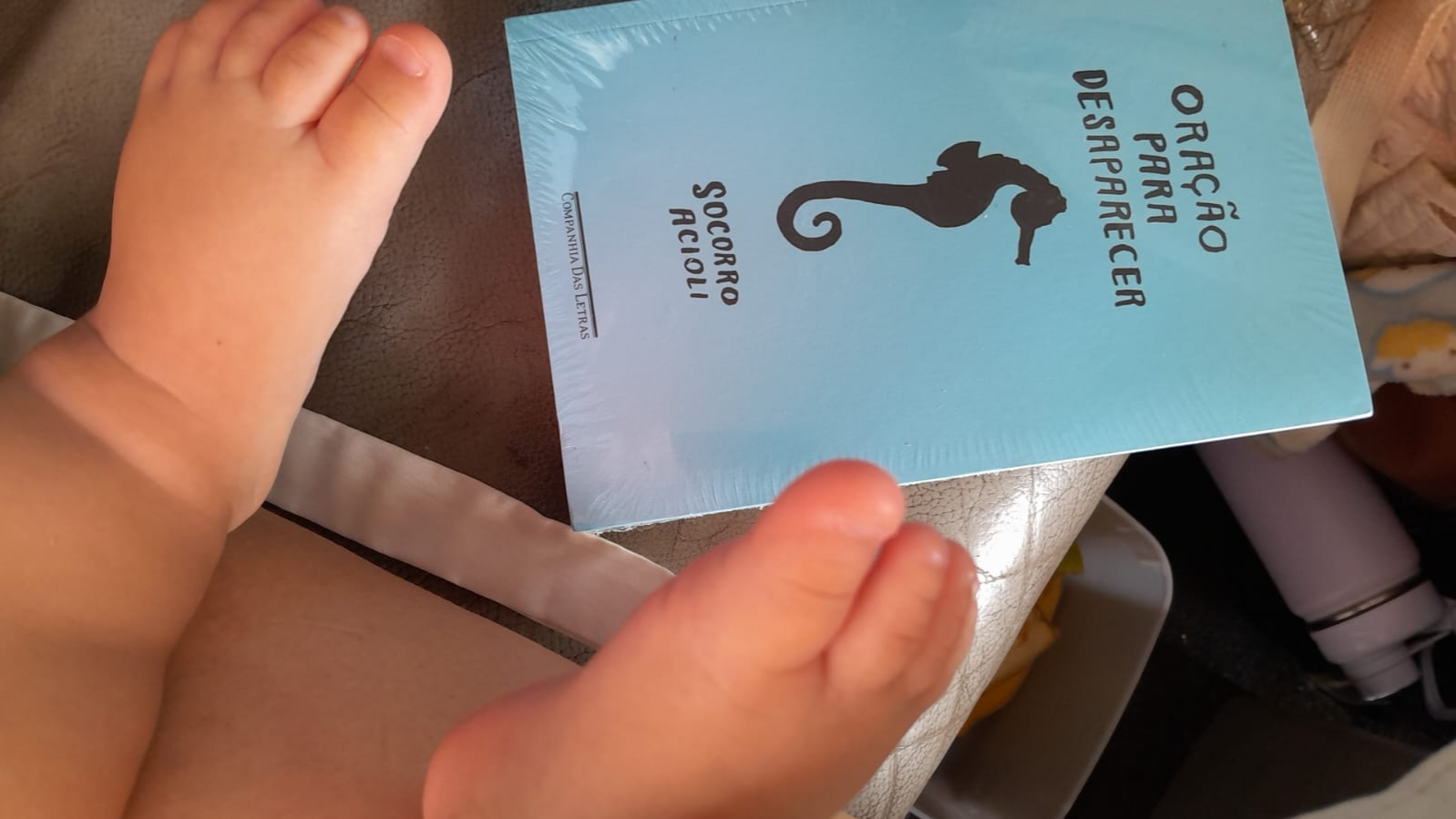 Resenha de uma leitora bem mediana da obra Oração Para Desaparecer de socorro Acioli