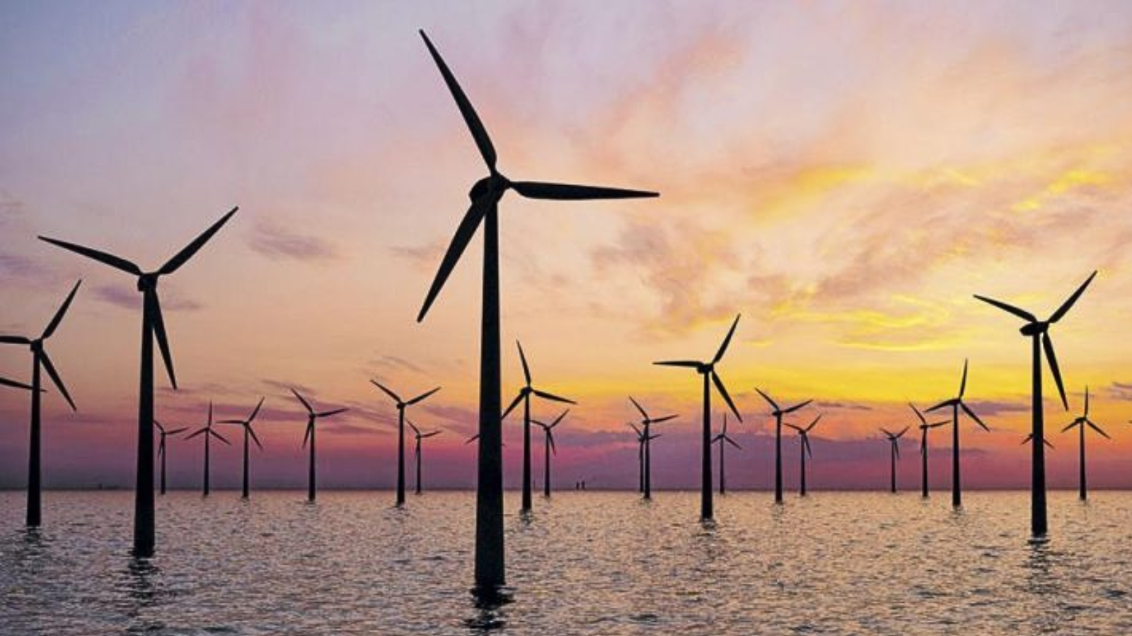 Suspensão de investimentos em energias renováveis atinge todo o nordeste e acende alerta